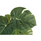 Monarch Specialties - Plante Artificielle - 13 po H - Monstera Calthea - Mis En Pot - Ensemble De 2 - Feuilles Vertes - Pots Noirs-6
