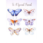 Mill Brook Studio 5-3/8" x 7-3/4" Friend Birthday Greeting Cards/Envelopes - 18 Pack-Card shop quality greeting cards