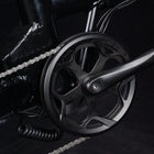 Decent Living 20" Foldable E Bike-7