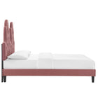 Modway Alexandria Tufted Performance Velvet Twin Platform Bed with Black Wood Legs - Dusty Rose-Stain-Resistant Performance Velvet