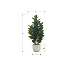 Monarch Specialties - Plante Artificielle - 31 po H - Arbre De Garcinia - Touche Réelle - Feuilles Vertes - Pot En Ciment Blanc-Cette plante artificielle à entretien facile est fabriquée à partir des meilleurs matériaux et ne nécessite aucun entretien ni arrosage, pour un accent décoratif durable et respectueux de l'environnement qui durera toute une vie