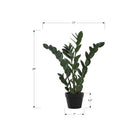 Monarch Specialties - Plante Artificielle - 29 po H - Arbre Zz - Mis En Pot - Touche Réelle - Feuilles Vertes - Pot Noir-Cette plante artificielle à entretien facile est fabriquée à partir des meilleurs matériaux et ne nécessite aucun entretien ni arrosage, pour un accent décoratif durable et respectueux de l'environnement qui durera toute une vie