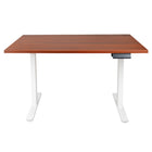 Ezywork - Bureau assis-debout électrique réglable en hauteur 48 po - Structure blanche / Plateau en noyer foncé-Taille du bureau : 47,2 "L x 29,5 "P (120 cm x 75 cm)