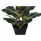 Monarch Specialties - Plante Artificielle - 32 po H - Arbre À Violons - Mis En Pot - Touche Réelle - Feuilles Vertes - Pot Noir-Aucun montage requis: Dimensions du produit: 16 po L x 19,5 po L x 32 po H