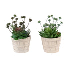 Monarch Specialties - 9365 Succulente Artificielle 9" de Haut - Pots en Ciment Beige - Ensemble de 2-Cet ensemble de 2 plantes artificielles comprend des succulentes artificielles de 9" de hauteur, conçues pour apporter une touche décorative moderne à toute table, étagère ou surface de votre maison ou bureau