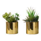 Monarch Specialties - Plante Artificielle - 7 po H - Succulent - En Pot - Ensemble De 2 - Plantes Vertes - Pots Dorés Brillants-Ensemble de 2 plantes succulentes artificielles de 7 pouces de haut dans des pots dorés brillants chics de 3 pouces, recouverts de vrais cailloux