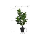Monarch Specialties - Plante Artificielle - 28 po H - Arbre De Garcinia - Mis En Pot - Touche Réelle - Feuilles Vertes - Pot Noir-Cette plante artificielle à entretien facile est fabriquée à partir des meilleurs matériaux et ne nécessite aucun entretien ni arrosage, pour un accent décoratif durable et respectueux de l'environnement qui durera toute une vie