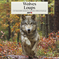 DateWorks 2026 16-Month Wall Calendar - 12" x 12" - Wolves - Bilingual-12.00" x 12.00"
