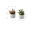Monarch Specialties 9366 9" Tall Artificial Succulents - Grey Cement Pots - Set of 2-Designed as an accent for the home or office, these artificial plants blend easily into a variety of interior styles