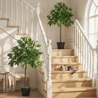 Outsunny - Arbre de laurier artificiel 3 pi en pot - vert - lot de 2-Entièrement artificiel, il reste donc beau toute l’année et ne nécessite aucun entretien 