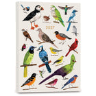 High Note 2027 Monthly Softcover Planner - 7-3/4" x 9-3/4" - Orders of the Animals - English-Durable, scuff-proof flexi cover with foil embellishments 