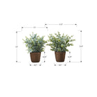 Monarch Specialties - Plante Artificielle - 13 po H - Herbe D'Eucalyptus - En Pot - Ensemble De 2 - Feuilles Vertes - Pots Bruns-Ces plantes artificielles en pot, faciles à entretenir, sont fabriquées à partir de matériaux de la plus haute qualité et ne nécessitent ni entretien ni arrosage, pour un accent décoratif durable et respectueux de l'environnement qui durera toute une vie