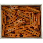 JAM Paper - Pinces à linge en bois - taille moyenne - 2 -8 cm - orange - 50 pinces à linge par paquet-Quantité : 50/paquet