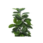 Monarch Specialties - Plante Artificielle - 52 po H - Arbre À Caoutchouc - Mis En Pot - Touche Réelle - Feuilles Vertes - Pot Noir-6