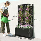 Outsunny - Bac à plantes en métal avec treillis - découpe feuille de monstera-Les fentes de drainage empêchent l'accumulation d'eau, favorisant la santé des plantes 