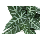 Monarch Specialties 8" Artificial Indoor Alocasia - Table - White Cement Pots - Set of 2-6