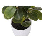 Monarch Specialties 14" Artificial Indoor Ficus - Table - White Pots - Set of 2-No assembly required and backed by a 5 year limited warranty against any defects for a sustainable and environmentally friendly decorative accent