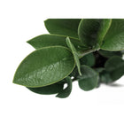 Monarch Specialties - Plante Artificielle - 20 po H - Zz - Mis En Pot - Touche Réelle - Feuilles Vertes - Pot De Ciment Gris-Garantie limitée de 5 ans contre les défauts du fabricant