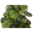Monarch Specialties 14" Artificial Indoor Ficus - Table - White Pots - Set of 2-6