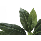 Monarch Specialties - Plante Artificielle - 42 po H - Arbre À Feuilles Persistantes - Mis En Pot - Feuilles Vertes - Pot Noir-Garantie limitée de 5 ans contre les défauts du fabricant