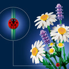 LEGO Botanicals Daisies-A floral gift for kids, girls and boys on birthdays and special occasions