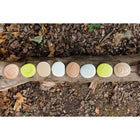 Yellow Door Let's Investigate Nature Stone Figures 8-Piece Set-Stones measure approximately 3". Safe for 2+.