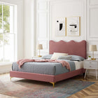 Modway Current Performance Velvet Queen Platform Bed with Gold Metal Legs - Dusty Rose-Stain-Resistant Performance Velvet