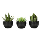 Monarch Specialties - Plante Artificielle - 6 po H - Succulent - Mis En Pot - Ensemble De 3 - Plantes Vertes - Pots Noirs-Ajoutez une touche de verdure à votre maison ou à votre bureau avec ce lot de 3 plantes succulentes artificielles qui mesurent jusqu'à 6 pouces de haut