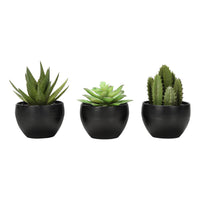 Monarch Specialties - Plante Artificielle - 6 po H - Succulent - Mis En Pot - Ensemble De 3 - Plantes Vertes - Pots Noirs-Ajoutez une touche de verdure à votre maison ou à votre bureau avec ce lot de 3 plantes succulentes artificielles qui mesurent jusqu'à 6 pouces de haut