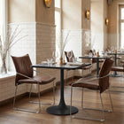 Zuo Pola Dining Chair - Brown - Set of 2-Chair Weight Capacity: Supports up to 440 lb