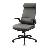 COUGAR Stryder Office Chair with Lumbar Support & Flip-Up Armrests - Grey-Clean, Low-Profile Design: With its understated silhouette and contemporary finish, Stryder integrates effortlessly into any environment - professional, creative, or personal. It's designed to look at home in modern workspaces, gaming setups, and everything in between