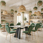 Zuo Odessa Dining Chair - Green/Gold - Set of 2-Chair Weight Capacity: Supports up to 350 lb
