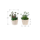 Monarch Specialties - 9365 Succulente Artificielle 9" de Haut - Pots en Ciment Beige - Ensemble de 2-Couvertes par une garantie limitée de 5 ans, ces plantes artificielles sont conçues pour offrir confiance et durabilité sur le long terme