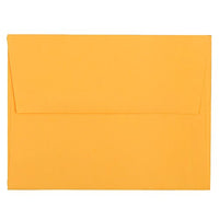  JAM Paper Enveloppes d'invitation A10 en vélin translucide - 6 x 9,12 po - Rouge terre cuite - paquet de 25- Couleur : gris étain.