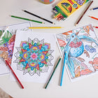Crayola Coloured Pencils, 12 Count-Crayola Coloured Pencils are produced with wood from well-managed forests to help preserve resources