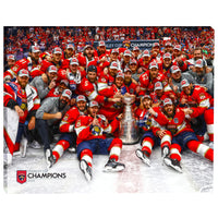 Florida Panthers 2024 Stanley Cup - Framed Canvas - 20" x 16"-Premium canvas print with gallery-wrapped edges