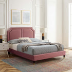Modway - Novi Lit King en velours haute performance avec pieds en bois et manchons en métal doré - Vieux rose-Assemblée requise