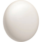 Google - Thermostat d'apprentissage Nest (4e génération) avec capteur de température Nest (2e génération) - Argent poli-Le moniteur d'état du système permet de détecter de nombreux problèmes à un stade précoce. Et si quelque chose nécessite une attention particulière, il peut envoyer une alerte.