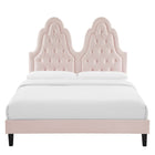 Modway Alexandria Tufté Performance Velours Lit Plateforme Twin Avec Pieds en Bois Noir - Rose-8