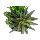 Monarch Specialties - Plante Artificielle - 7 po H - Succulent - En Pot - Ensemble De 2 - Plantes Vertes - Pots Céramiques Blancs-6