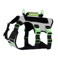 Healthy Harness Absolute Adventure Harness - Silver - Medium-No-pull, no-choke design-prevents harmful pressure on your dog’s neck and throat for safer, healthier walks