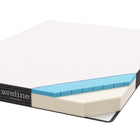 Modway Aveline 6" King Mattress-10