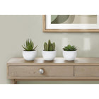 Monarch Specialties - Plante Artificielle - 6 po H - Succulent - Mis En Pot - Ensemble De 3 - Plantes Vertes - Pots Blancs-Chaque plante artificielle est empotée dans un pot en mélamine blanc neutre, recouvert de sable. Elle est parfaite pour être placée à l'intérieur sur des tables, des étagères ou d'autres surfaces plates