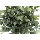 Monarch Specialties - Plante Artificielle - 11 po H - Herbe D'Eucalyptus - En Pot - Ensemble De 2 - Feuilles Vertes - Pots Noirs-7