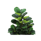 Monarch Specialties - Plante Artificielle - 47 po H - Arbre À Violons - Mis En Pot - Touche Réelle - Feuilles Vertes - Pot Noir-6