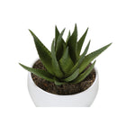 Monarch Specialties - Plante Artificielle - 6 po H - Succulent - Mis En Pot - Ensemble De 3 - Plantes Vertes - Pots Blancs-6