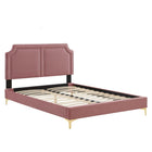 Modway - Novi Lit King en velours haute performance avec pieds en métal doré et embouts - Vieux rose-Lit de plateforme King