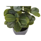 Monarch Specialties - Plante Artificielle - 14 po H - Ficus - Mis En Pot - Ensemble De 2 - Feuilles Vertes - Pots Gris-Dimensions du produit : 9 po L x 10 po W x 14 po H (chaque plante)