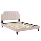Modway Sienna Performance Velvet Full Platform Bed with Black Wood Legs - Pink-Full Platform Bed