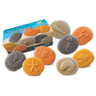 Yellow Door Let's Investigate Seashore Stone Figures 8-Piece Set-Be transported to the ocean and explore the enticing flora and fauna of the seashore with these tactile stones.